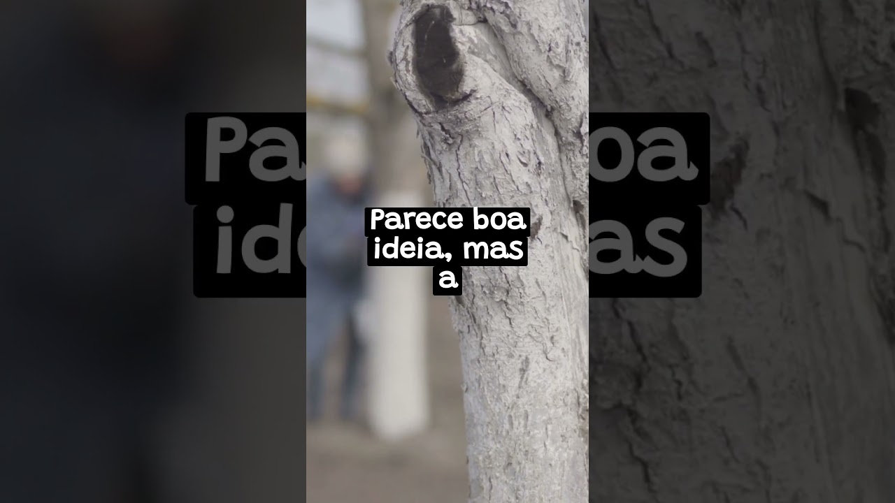 O Mistério das Árvores Pintadas de Branco ?❓