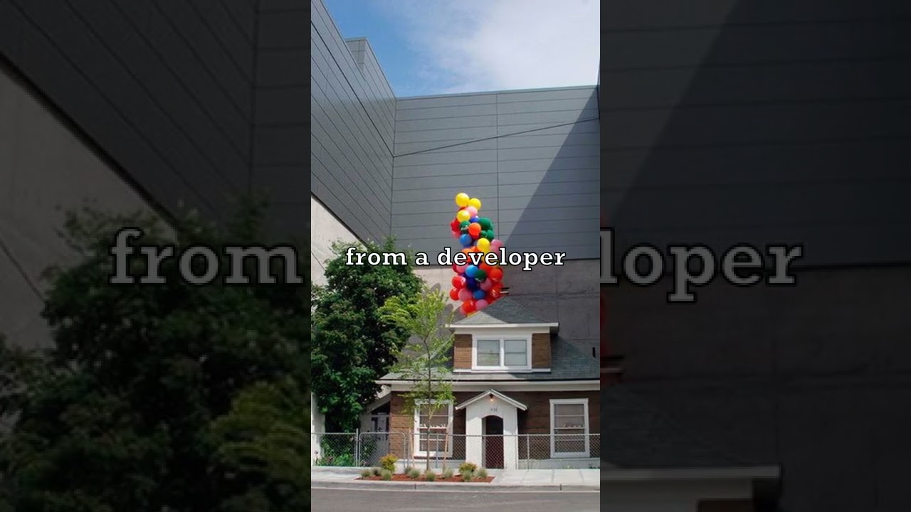 House From UP In Real Life ?