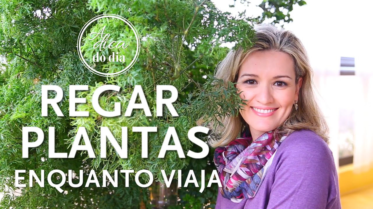 COMO REGAR PLANTAS ENQUANTO VIAJAMOS - A Dica do Dia