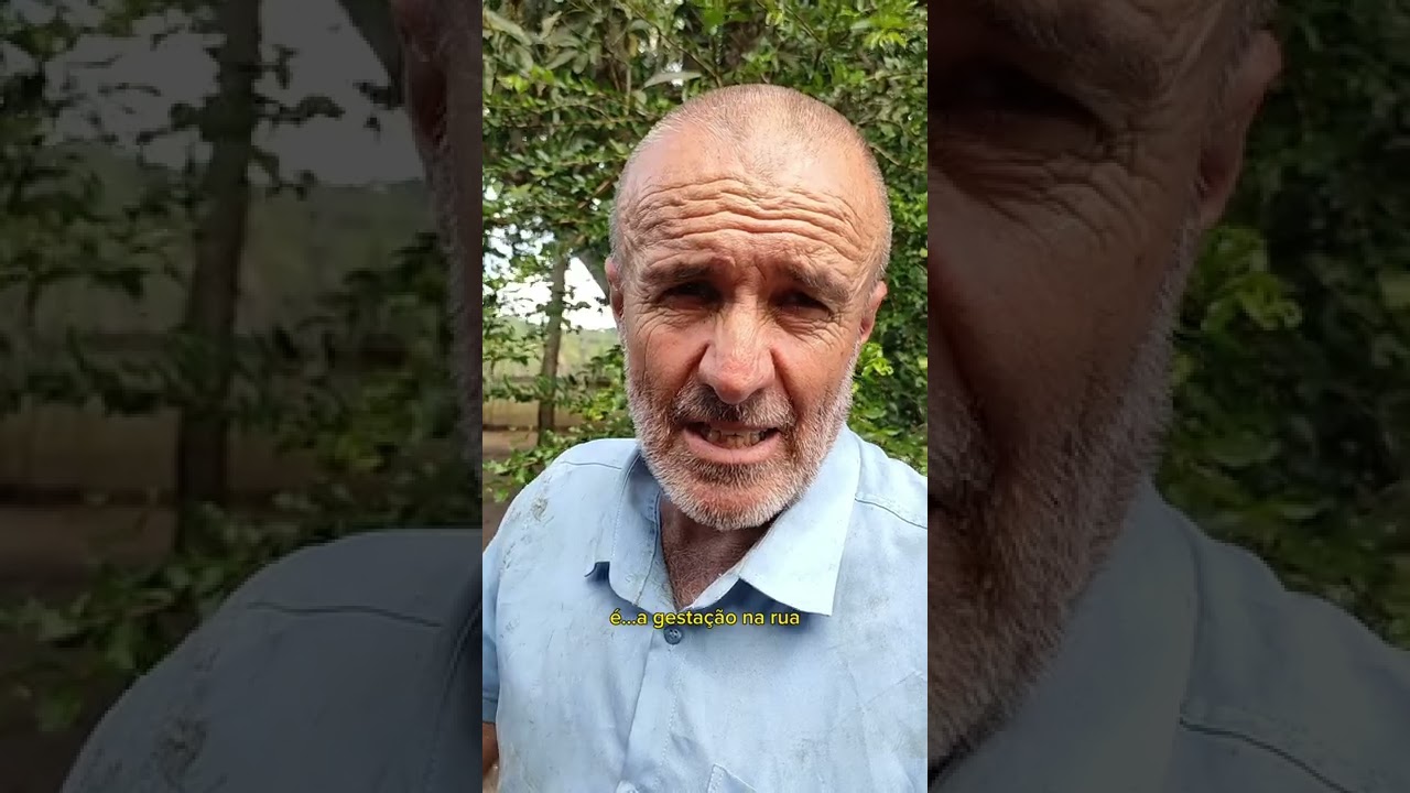 Dormindo em cima de uma mesa, Seu Antônio vendeu tudo que tinha para cuidar de mais de 800 cachorros