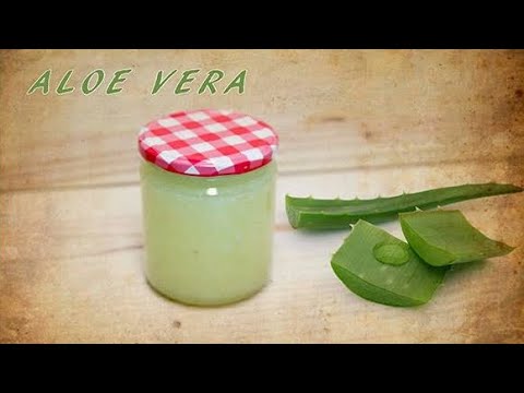 Cómo hacer GEL ALOE VERA, SABILA.. How to make aloe vera gel