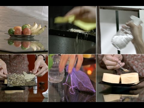 Como espantar as moscas em casa