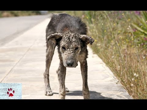 Taking the long way home