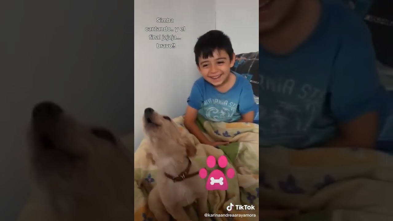 Perrito canta cumpleaños feliz