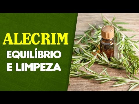 Plantas Medicinais - Alecrim - Equilíbrio e Limpeza Energética