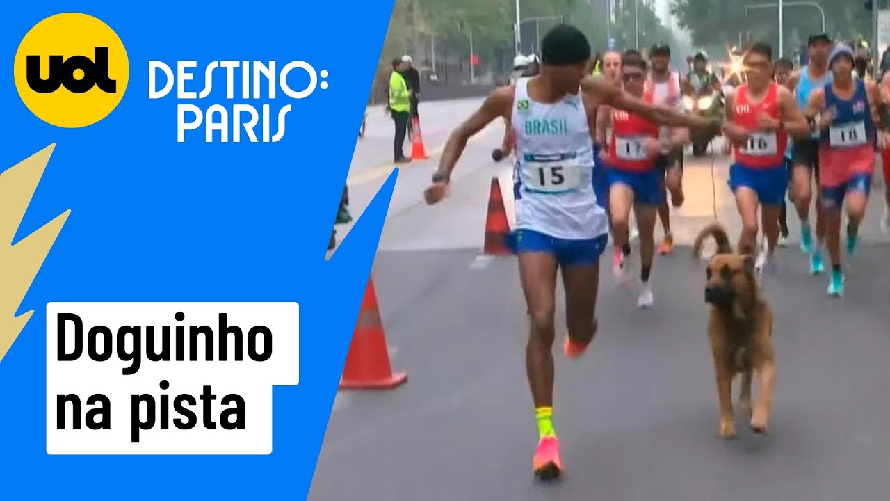 CACHORRO INVADE MARATONA NO PAN E CORRE AO LADO DO BRASILEIRO