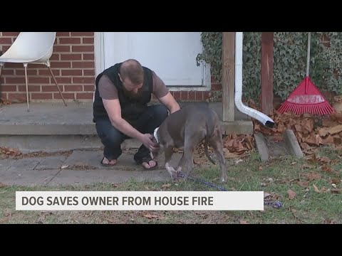 Kansas man escapes house fire thanks to dog's help