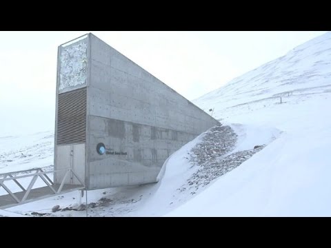 See inside the 'Doomsday' seed vault