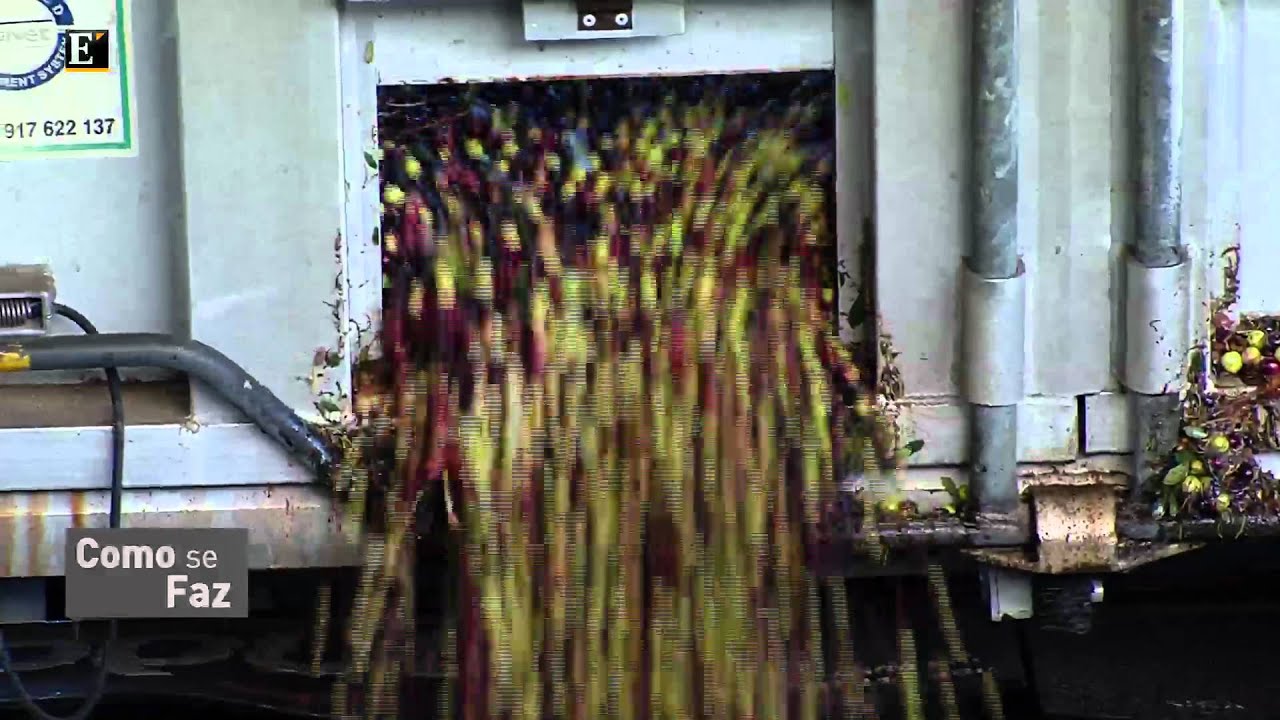 Como Se Faz - Azeite