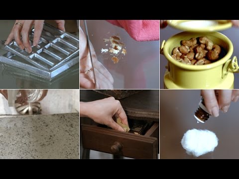 Como acabar com as baratas sem veneno!