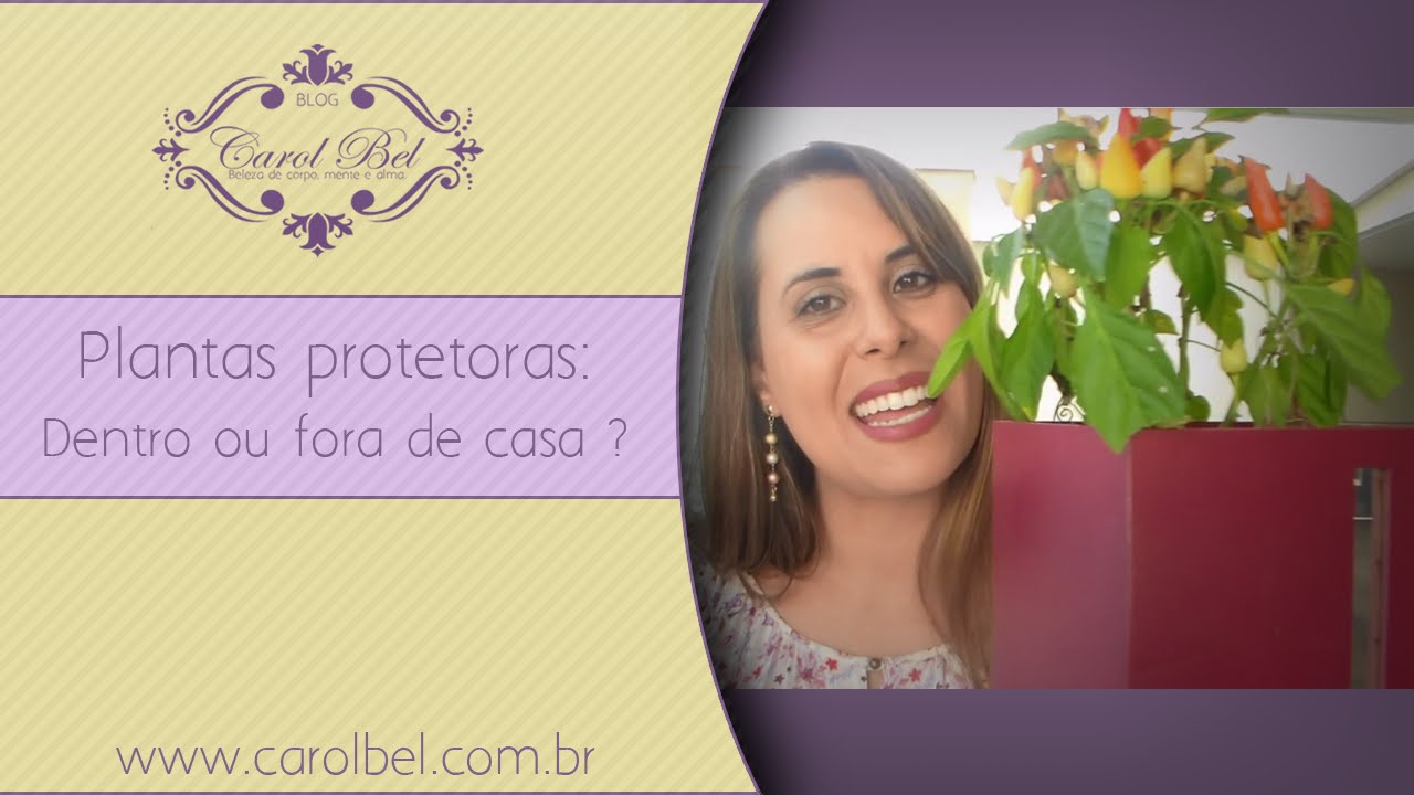 DICA FENG SHUI: QUAIS PLANTAS NÃO DEVEMOS TER DENTRO DE CASA