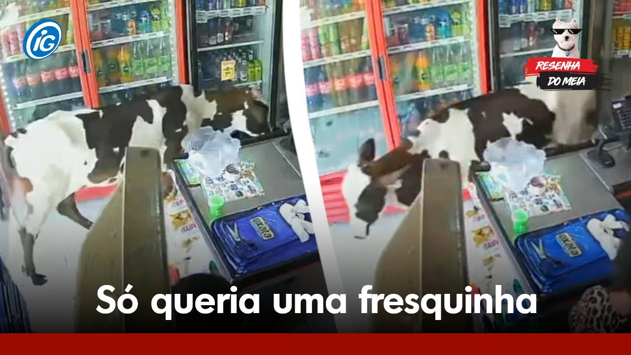 Vaca invade mercado com ar-condicionado para se refrescar