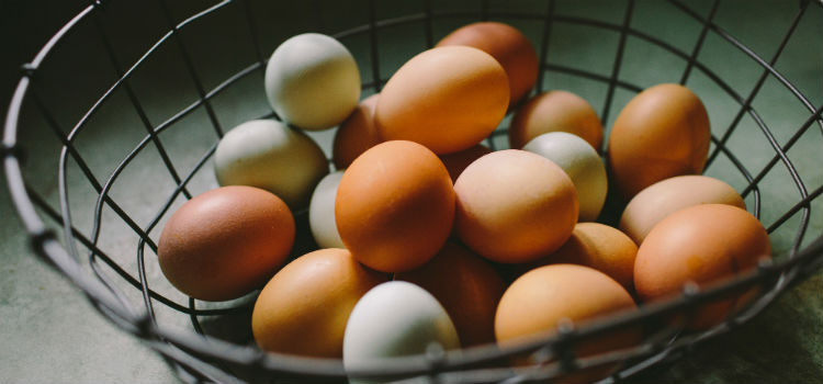 ácido fólico alimentos que contém