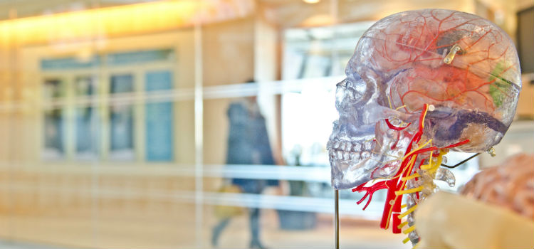 água de berinjela preserva a memória