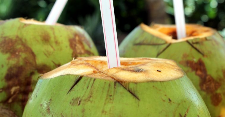 água de coco engorda