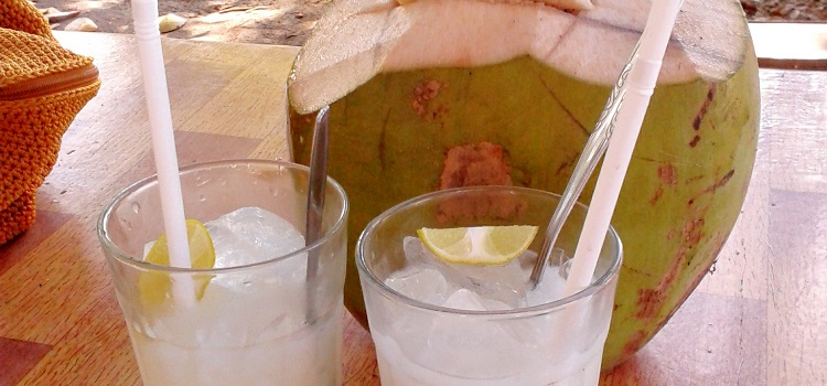 água de coco engorda ou emagrece