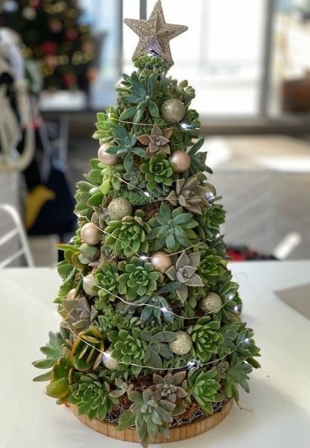 Árvore de Natal de suculentas: tutoriais + fotos para inspiração
