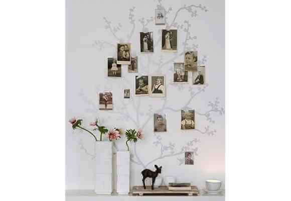 árvore genealógica 6