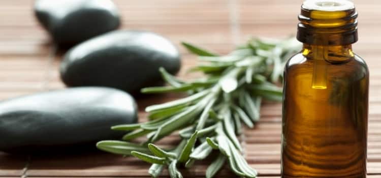 óleo essencial de alecrim