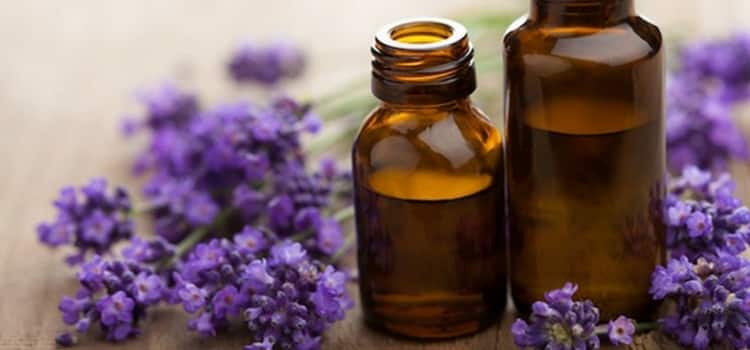 óleo essencial de lavanda