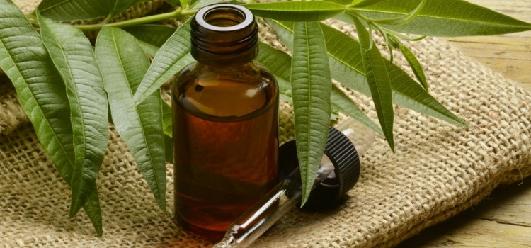 óleo essencial de malaleuca