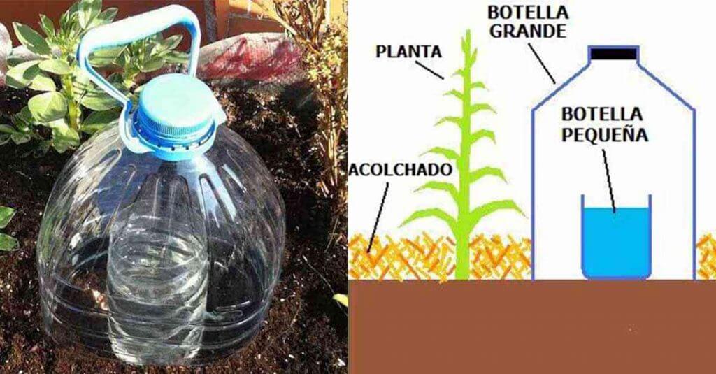 Como regar plantas e economizar água 1