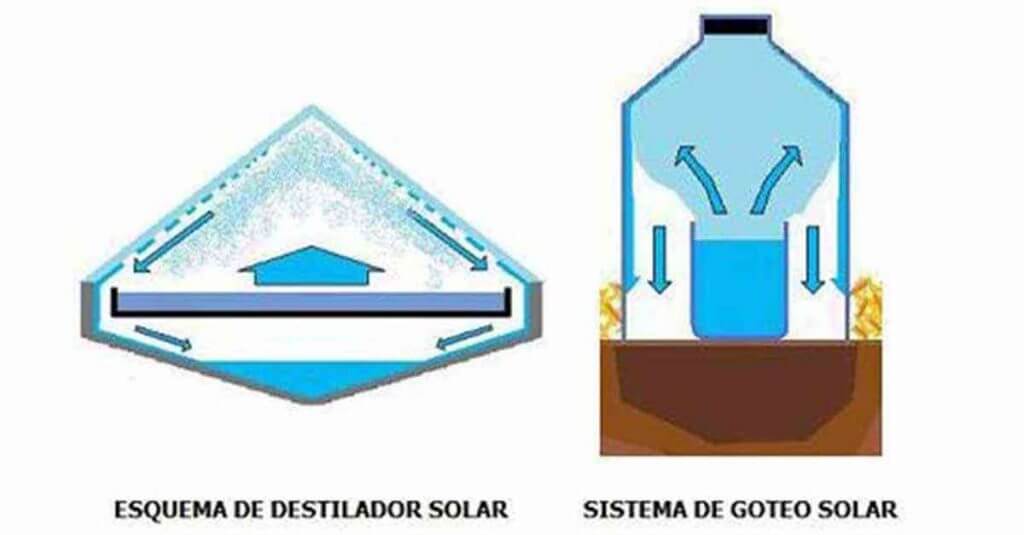 Como regar plantas e economizar água 2