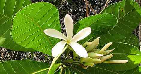 4213626806_2fabecd684_z