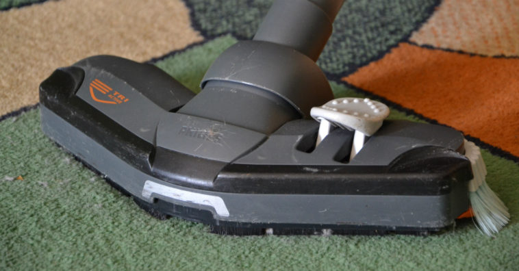 5 alternativas a naftalina para eliminar as traças