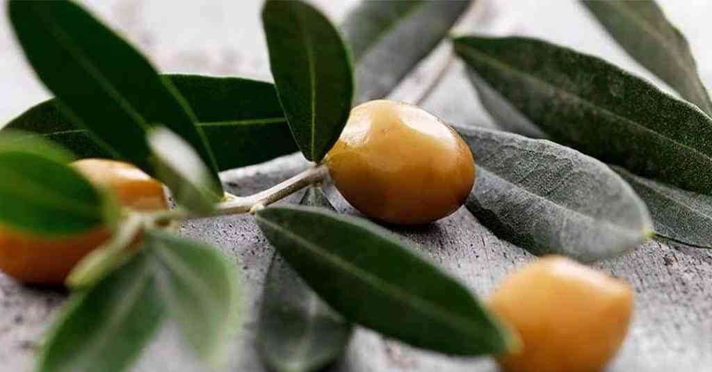 5 oliveira
