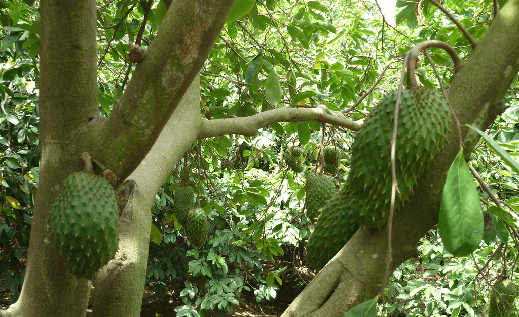 5722051782_d9d7f37858_b