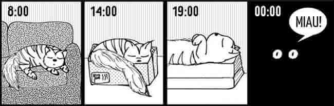 924655-650-1448305410-comics13