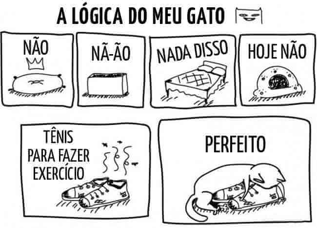 926755-650-1448320837-2novo