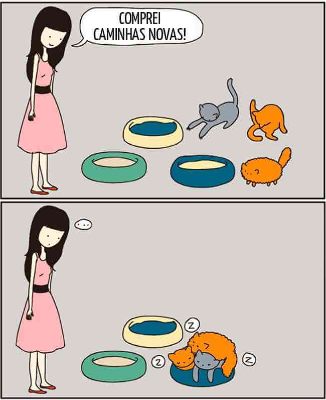 926805-650-1448320867-15novo