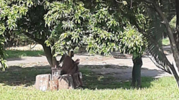 A misteriosa foto de Jesus que está comovendo cristãos