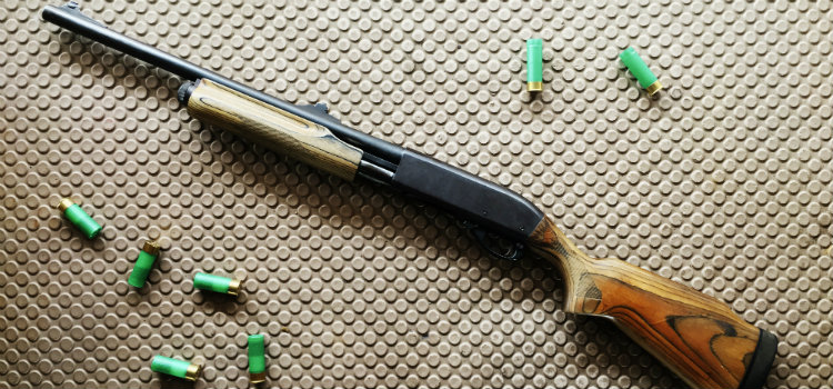 Alemão perde licença de arma depois de levar um tiro do próprio cachorro entenda