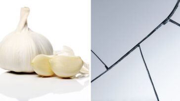 Alho conserta janelas