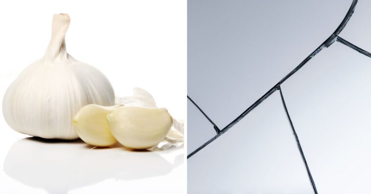 Alho conserta janelas