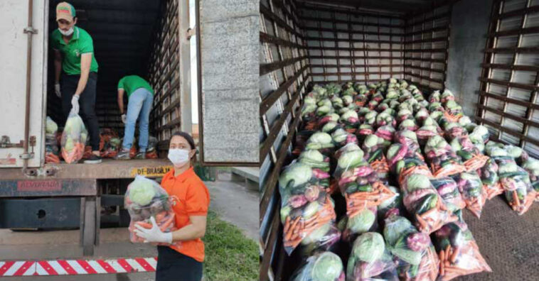 Amigos doam cestas de verduras e legumes para pessoas necessitadas na pandemia
