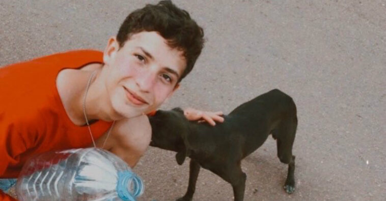 Aos 17 anos, brasileiro abre abrigo para animais abandonados