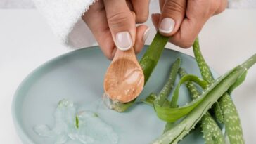 Babosa para secar espinha