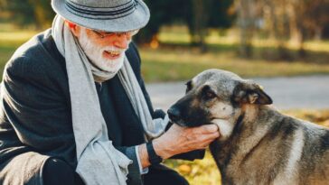 Benefícios de ter um animal para os idosos