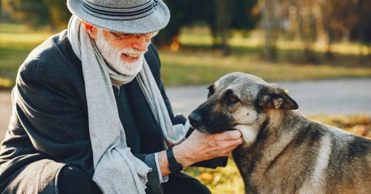 Benefícios de ter um animal para os idosos