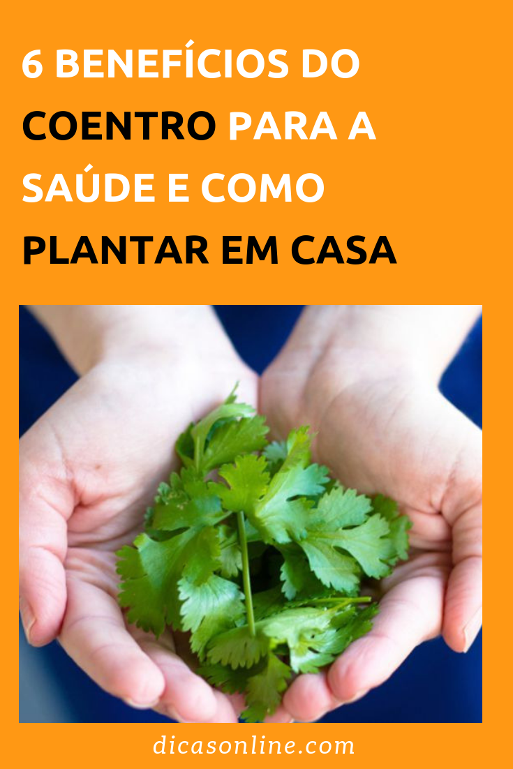 Benefícios do coentro
