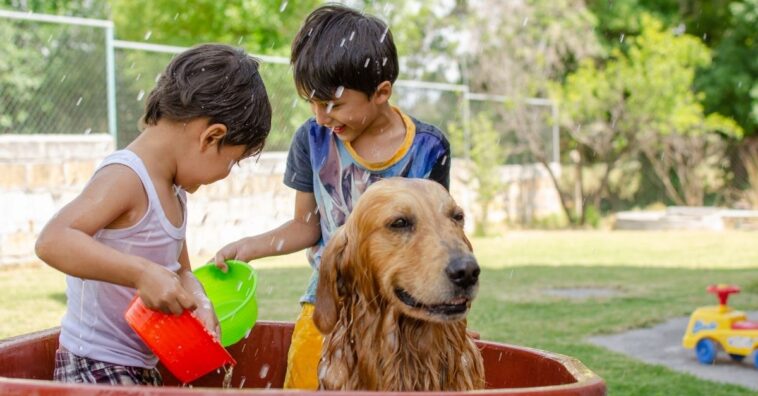 Brincadeiras para fazer com as crianças