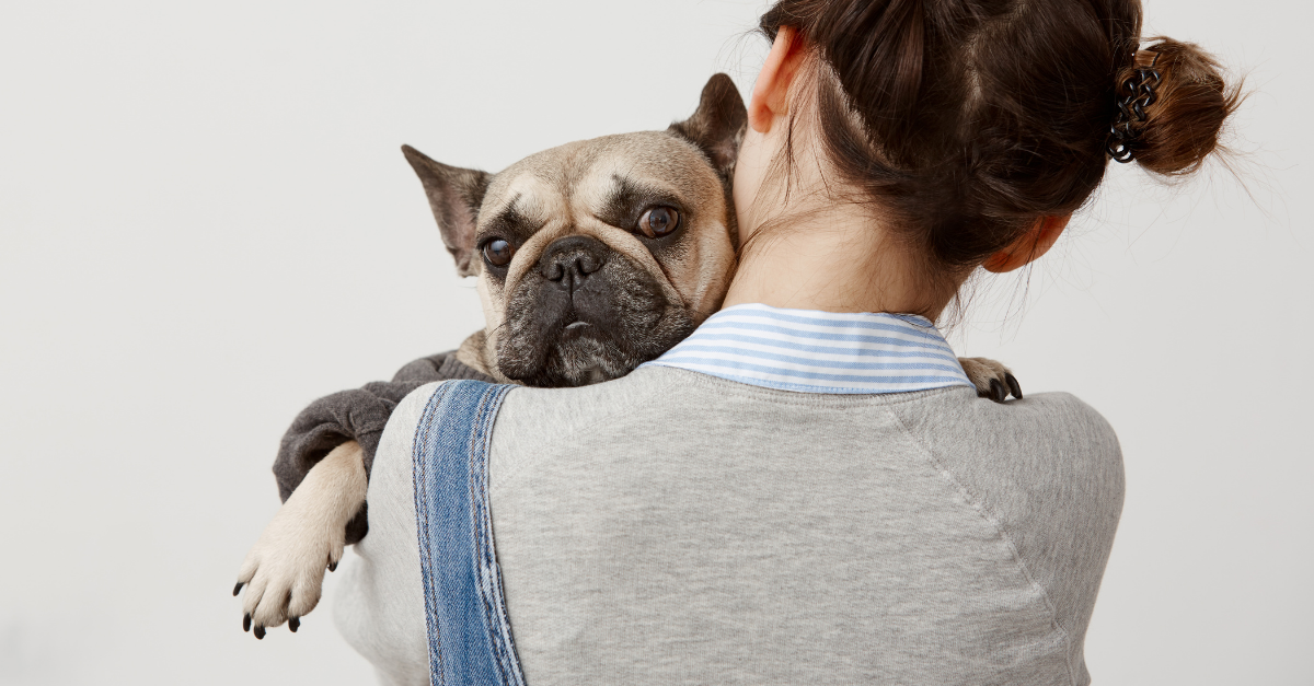 remédio caseiro para Cachorro com diarreia