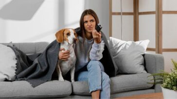 Cachorro que late para a TV é normal