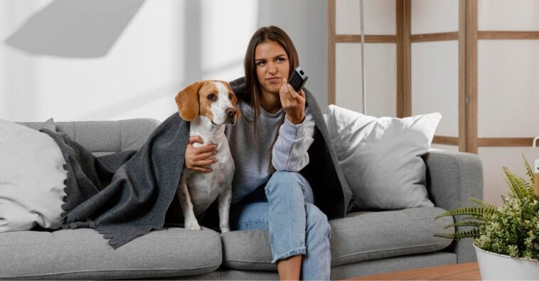 Cachorro que late para a TV é normal