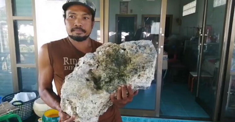 Catador de lixo fica milionário ao encontrar vômito de baleia