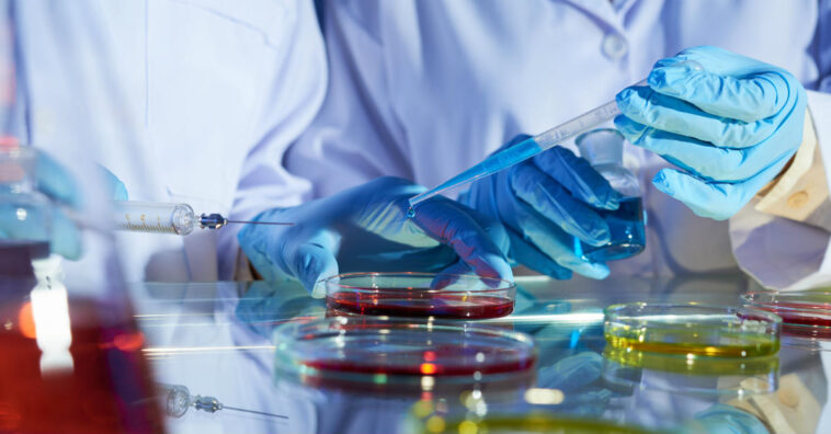 Cientistas descobrem vírus que ataca o câncer